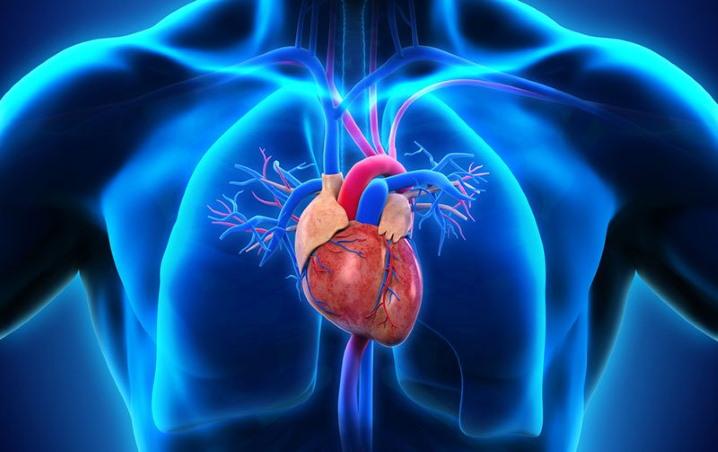 cardiologie